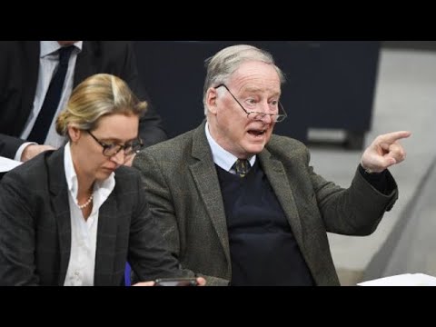 Analyse zur AfD: "Je radikaler sie auftreten, desto mehr Stimmen bekommen sie" | DER SPIEGEL