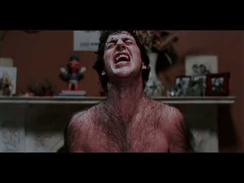 Ávine e Matheus Fernandes - Coração Cachorro (Late Coração) - Clipes DaHora