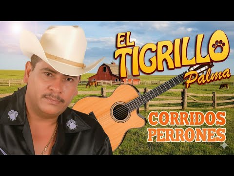 De Esta Sierra Mix and 2 more