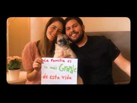 Jeremy Bosch feat Alain Pérez   Hoy Video Oficial1