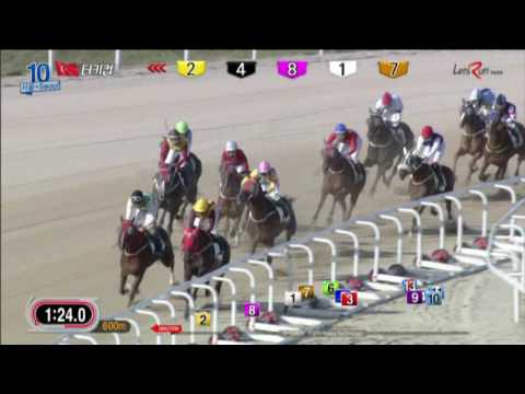 Turkey Cup 2017 - Dolkong