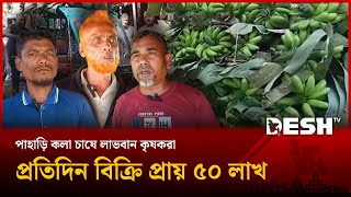 শেরপুরে পাহাড়ি কলা চাষে লাভবান কৃষকরা, প্রতিদিন বিক্রি প্রায় ৫০ লাখ
