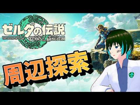 [1人配信]ゼルダの伝説 ティアーズ オブ ザ キングダムを初プレイ:Part23[#新人Vtuber]