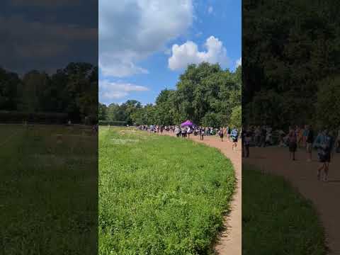 Tennis Borussia Berlin Fans vor Oberliga Spiel gegen Berliner AK #football #berlin #soccer