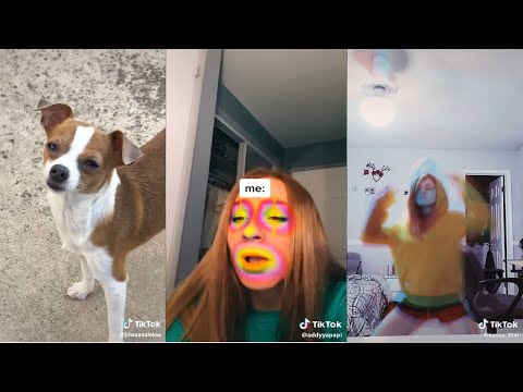 tiktoks that radiate weed energy - Fatally Stoned