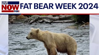 NEW: Fat Bear Week voting and founder Mike Fitz gameplay video by alucas, 7:24 duration
