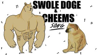 Swole Doge & Cheems Song