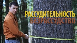 Секрет Успеха 16. Рассудительность – безрассудство (Даниила 1:8)