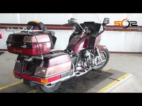 Watch A Video From Sun Coast Cycle Sports