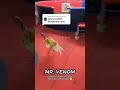 PAKOY VENOM Saudara Jimmy White Yang Viral Dan Venomenal Tajinaga Ayampakhoy Pakoydrumband