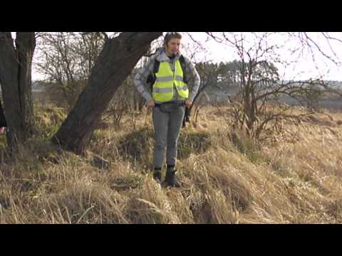 2016-04-03  XII Wiosenny Rajd Pieszy Po Ziemi Łobeskiej  KLĘPNICKO DOOKOŁA