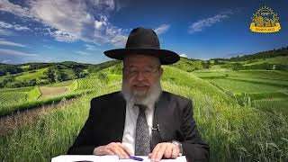 דף היומי בחצי שעה - קידושין דף ה'
