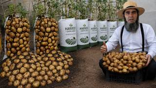Grow Potatoes in Soil Bags and Never Buy Potatoes Again