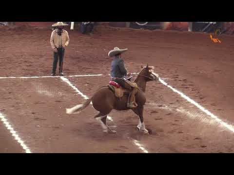 Alberto Chávez EXXCH21