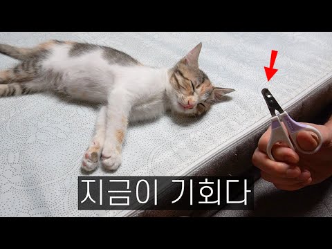 들키기 전에 끝내야 한다