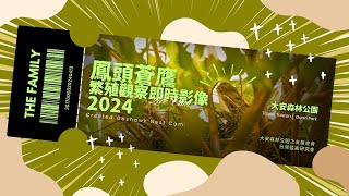 [問卦] 大安森林公園鳳頭蒼鷹開台啦?