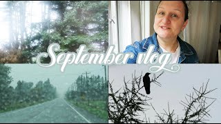 Dear September Thank you! Vlog
