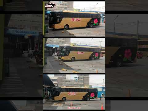 Flores Hnos. | Dorado | Comil Campione Visión 3.65 | T5 EP07 #busologia #mercedes #arequipa #camana