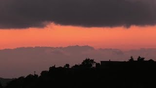 ronde-notturne-contro-i-cinghiali-che-devastano-i-campi