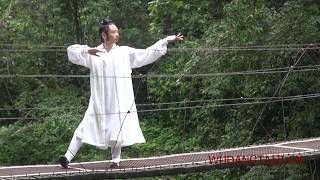 Wudang Dragon walk