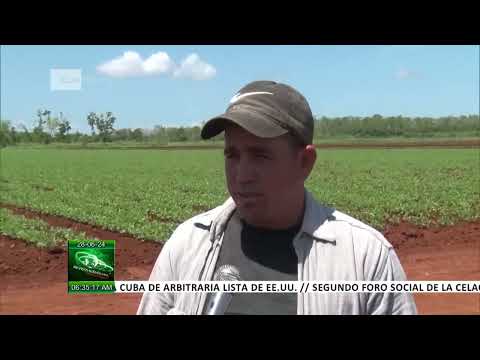 Presidente de Cuba recorre el municipio de Nueva Paz