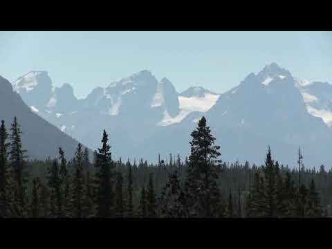 V huroch je ščesce