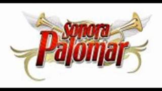 Sonora Palomar Mix (Dj Snoow Sabor Cumbianchero Mix)