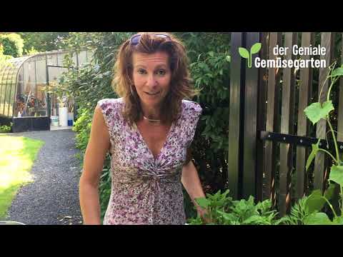 , title : 'Der Geniale Gemüsegarten - So gießt du richtig'
