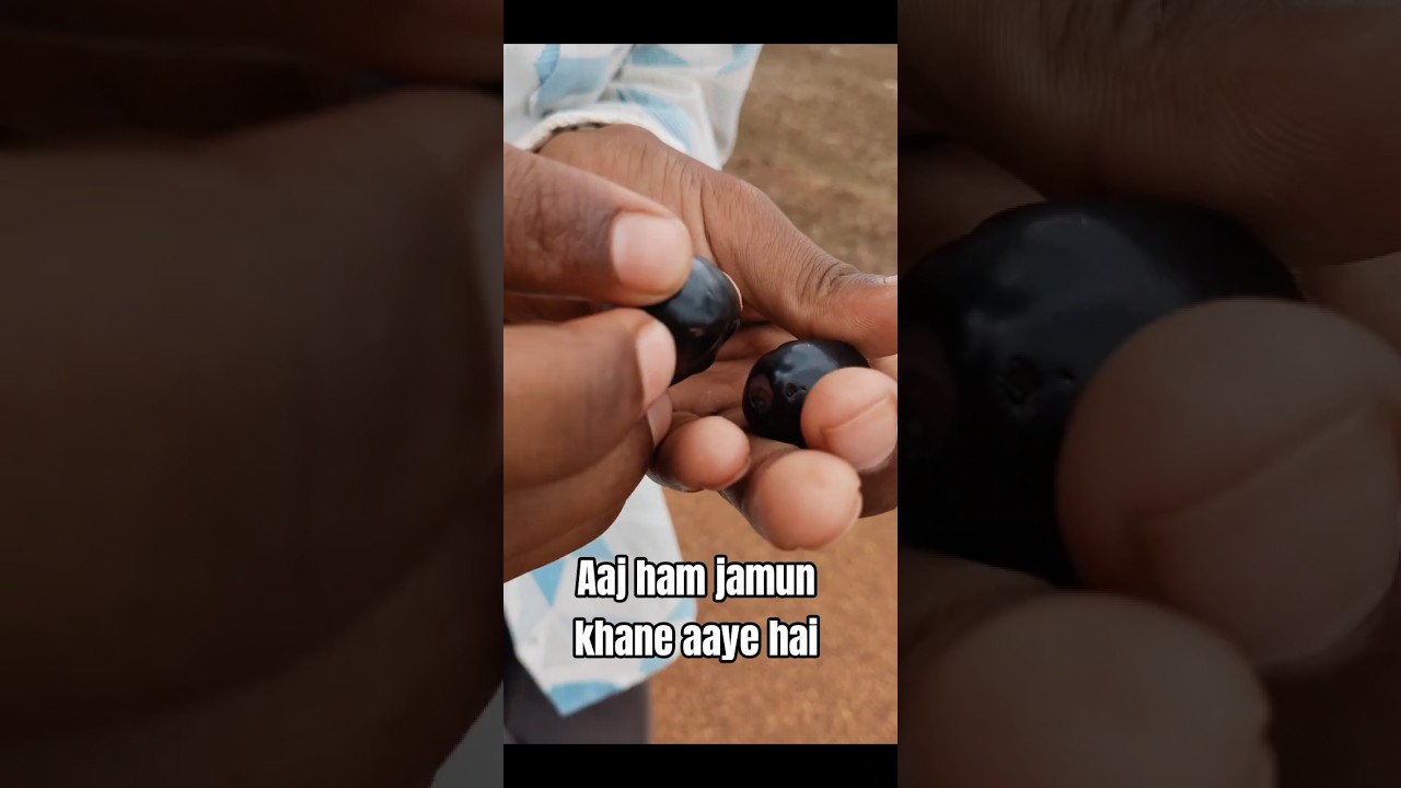 #comedyvideo #funnyvideo