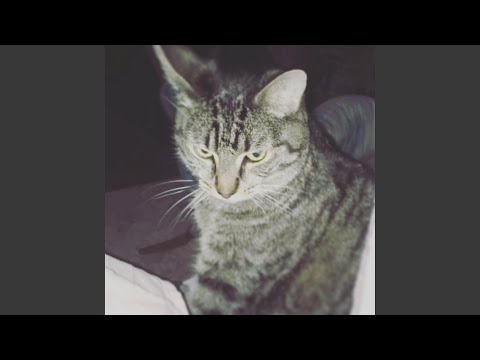 Mister Church - Cottonwood Firing Squad