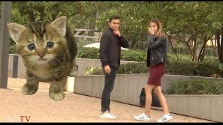 Maltraitance des Animaux  | Brutal Animal Abuse (Expérience sociale à Paris)