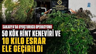  Sakaryada Uyuşturucu Operasyonunda 50 Kök Hint Keneviri Ele Geçirildi
