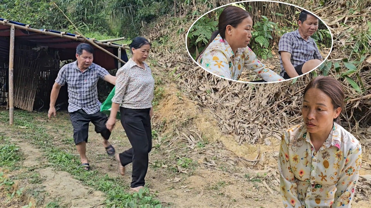 The wife decided to leave when she discovered the secret between Mr. Ha and the woman11