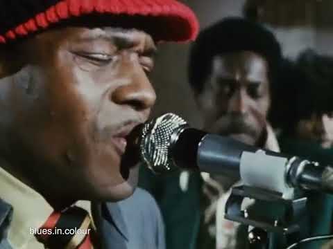 Junior Wells & Buddy Guy - Live at Theresa's 1972