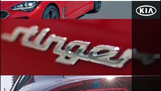 קיה סטינגר החדש זוכה פרס Red Dot Design לעיצוב