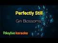 Perfectly Still 🎤 Gin Blossoms (karaoke)