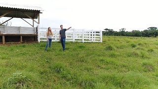 Miniatura do vídeo