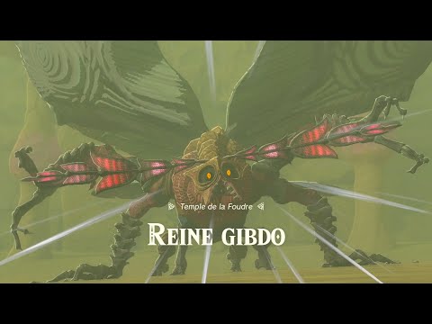 Loup Lassinat-Foubert and Vidéosoluce – Soluces et guides pour tous les jeux