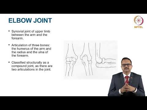 Joints of the Upper Limb thumbnail