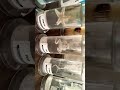 Visit To Bio Lab Specimen Trendingshorts Biology