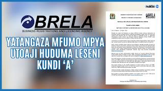 Brela yatangaza mfumo mpya utoaji huduma leseni kundi ‘A’