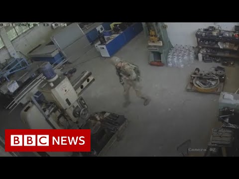US troops accidentally raid Bulgarian sunflower oil factory – BBC News