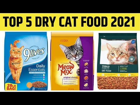 Best Dry Cat Food | TOP 5 Dry Cat Foods 2021 🐱 ✅