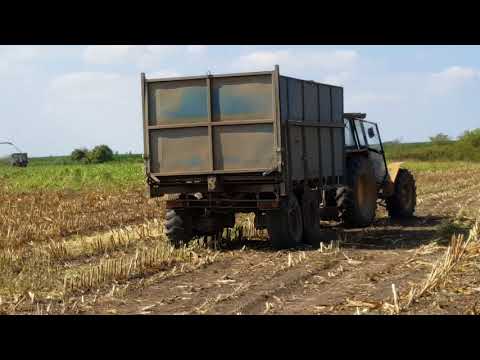 Akcja kukurydza 2018 w Brzysko - Rol cz 3 - uciekający jeleń