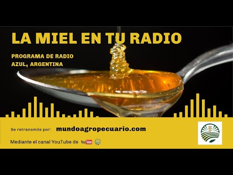 Programa LA MIEL EN TU RADIO en Mundo Agropecuario 13 12 2025