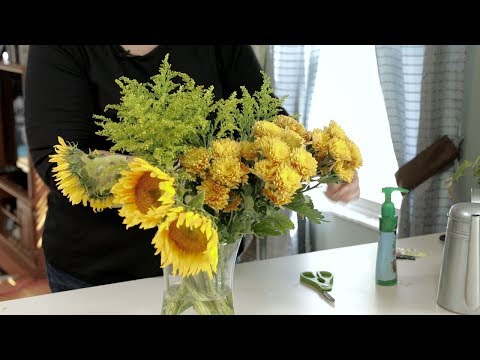How to Extend the Life of Cut Flowers