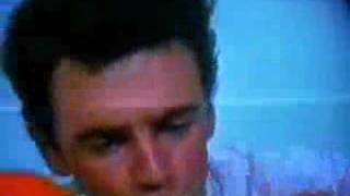 Los Burros - No puedo más