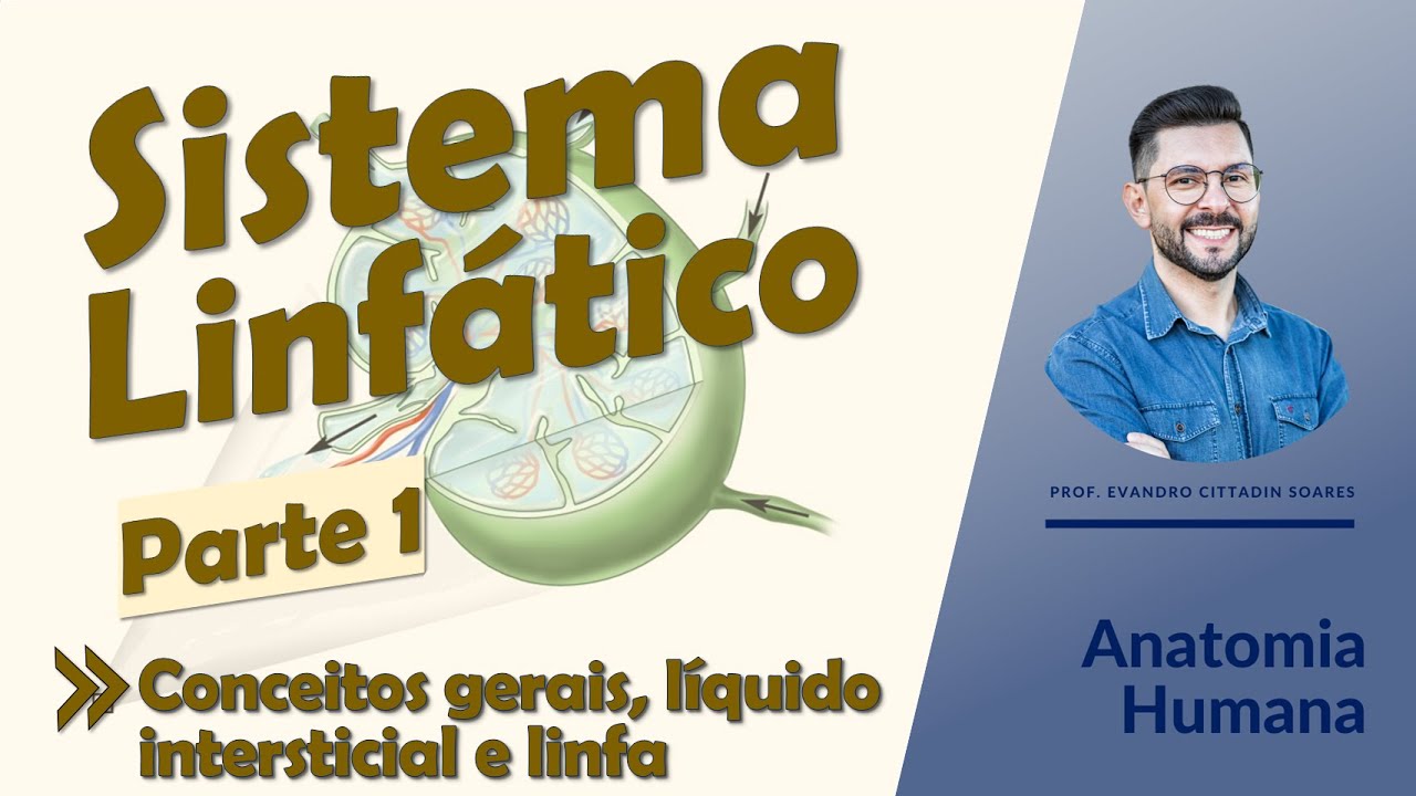 Sistema Linfático - Aula 01 - Conceitos gerais, líquido intersticial, linfa e fluxo linfático