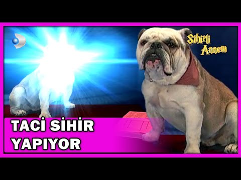 Taci, Umur'u Isırmak İçin Sihir Yaptı! - Sihirli Annem Özel Klip