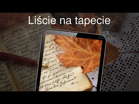 Liście na tapecie 4K